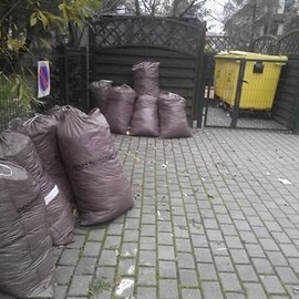 Druga tura zbiórki liści