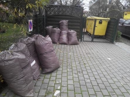 Druga tura zbiórki liści