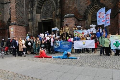 Festiwal organizacji i stowarzyszeń