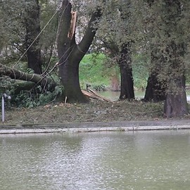 Nad Legnicą przeszedł orkan Ksawery