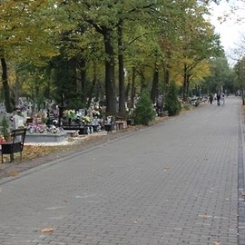 Aleja cmentarna w nowej szacie