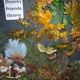 Konkurs „Chrońmy Przyrodę Ojczystą” rozstrzygnięty