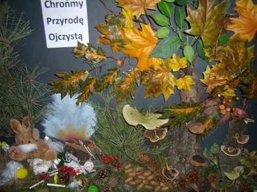 Konkurs „Chrońmy Przyrodę Ojczystą” rozstrzygnięty