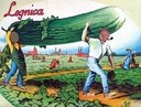 IX Święto Legnickiego Ogórka i Produktu Regionalnego
