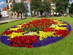 Legnica – miasto zieleni