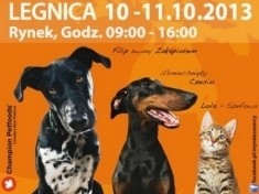 Kampania Odpowiedzialny Opiekun