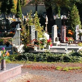 Legnicka nekropolia przygotowuje się do dnia Wszystkich Świętych