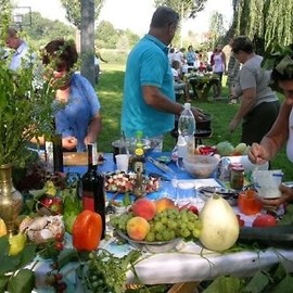 Kormoran Grill Party