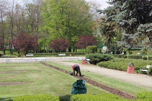 Jedni sadzą, inni kradną