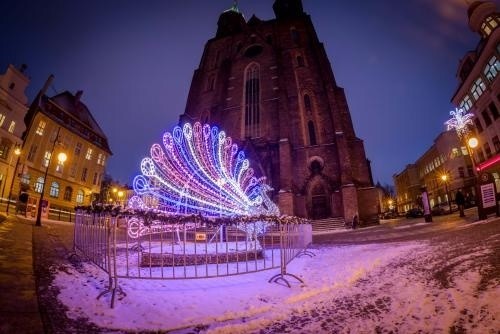 Legnica walczy o tytuł Świetlnej Stolicy Polski