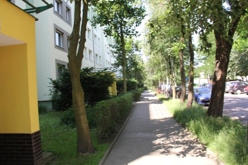 LBO 2017. Przebudowa chodników na Zosinku