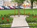Legnicki Plac Wolności z nowym zieleńcem