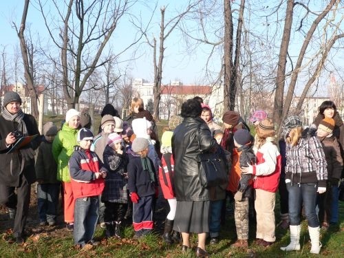Odbudowy Parku ciąg dalszy – nowe drzewa, nowe nasadzenia