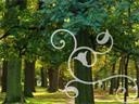 Legnicki park jest wciąż „placem budowy”. Spacerując tam, bądźmy ostrożni
