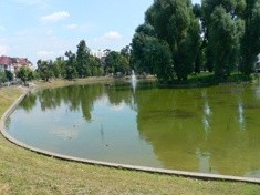 Od soboty w Kozim Stawie amury kontra moczarka kanadyjska