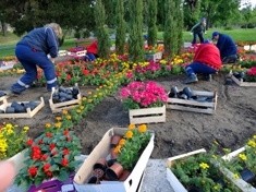 Nowa kompozycja kwiatowa w Parku Miejskim