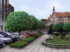 O rewitalizacji zieleni na Tarninowie raz jeszcze.