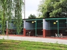 Odnowione boksy w schronisku dla zwierząt