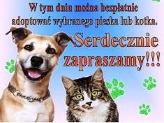 Odwiedź schronisko i adoptuj zwierzaka