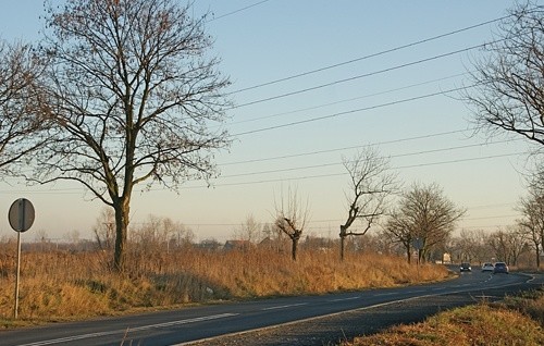 Nowy inwestor w naszym mieście. Przy ul. Koskowickiej powstanie duża ...