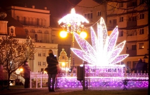 Najpiękniej świątecznie oświetlonym miastem Dolnego Śląska jest Legnica!