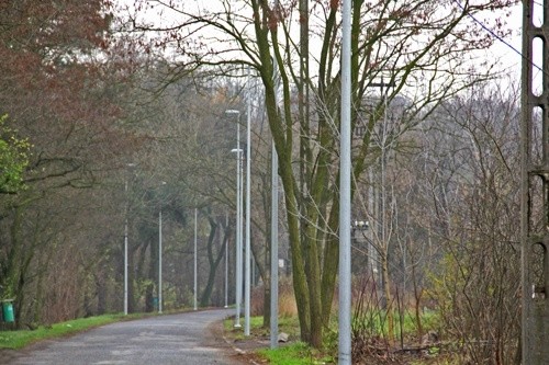 Nowe oświetlenie na al. Zwycięstwa