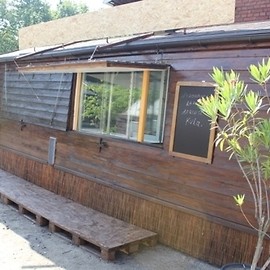 Na relaks i kawę do palmiarni