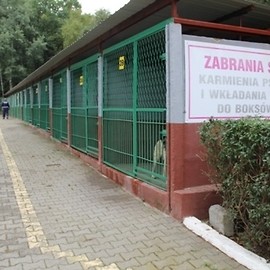 Nowe dachy dla piesków