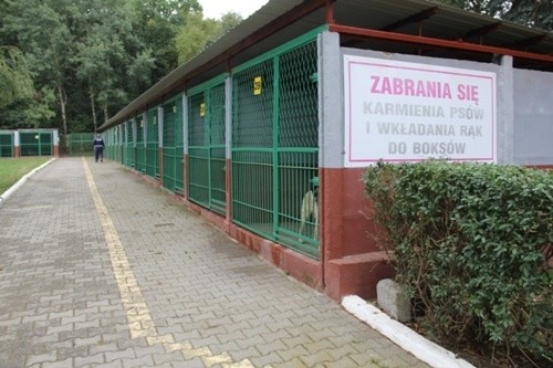 Nowe dachy dla piesków