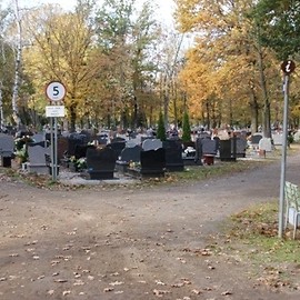 Melex dla niepełnosprawnych