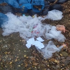 Mandat za śmieci w Lasku Złotoryjskim