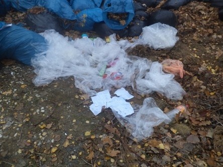 Mandat za śmieci w Lasku Złotoryjskim