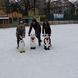 Nauka jazdy z pingwinem
