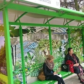 Na przystanku jak w palmiarni
