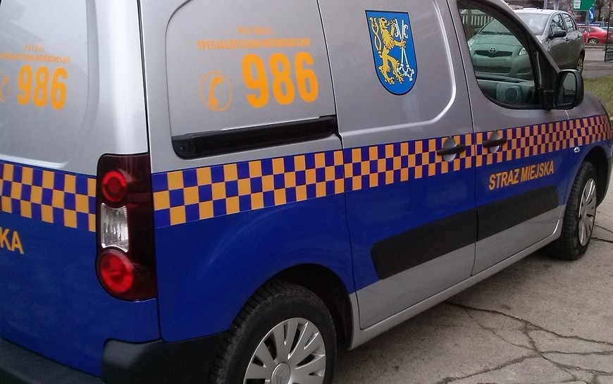 Nie zostawiaj psa w samochodzie
