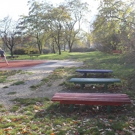 Na Koperniku powstanie Gwiezdna Arena