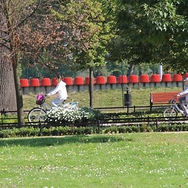 Legnicki Rower Miejski – podsumowanie sezonu