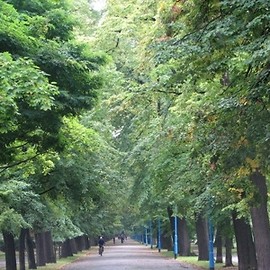 Park jak „feniks z popiołów”