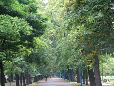 Park jak „feniks z popiołów”