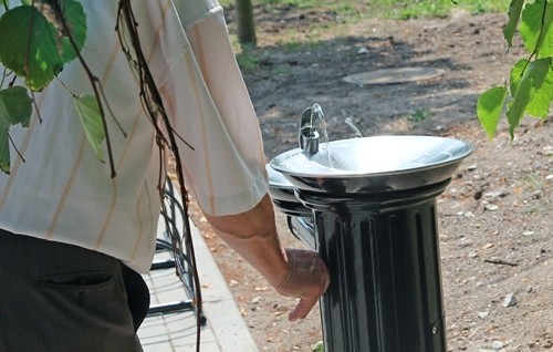 Parkowa aleja jak salon