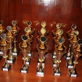 Podsumowanie sportowego roku szkolnego