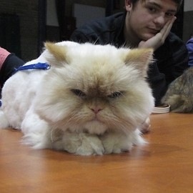 Pochwal się swoim pupilem