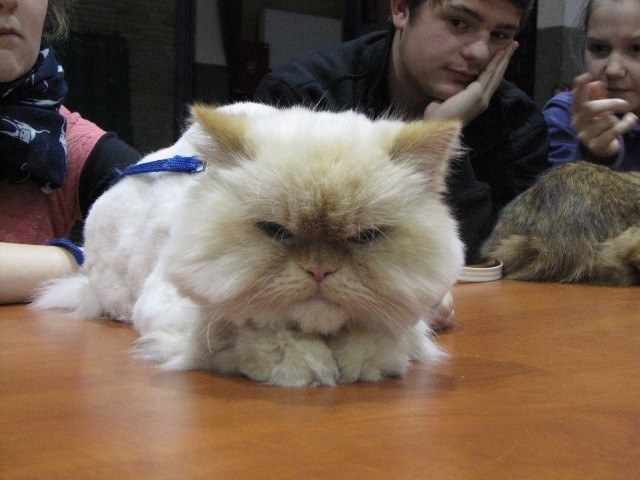 Pochwal się swoim pupilem