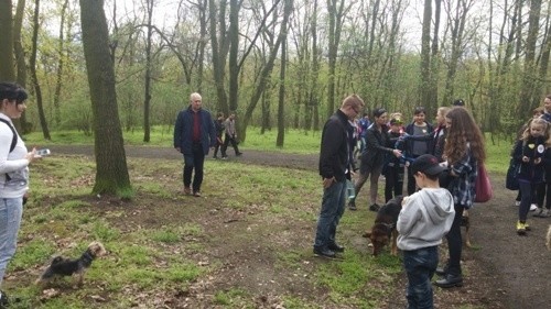 Piękny gest dla zwierząt