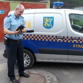 Piesek uratowany, kotki zginęły