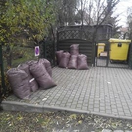 Opadły liście z drzew