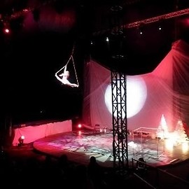Ostatni w tym roku pokaz „Ocelot Christmas Show”