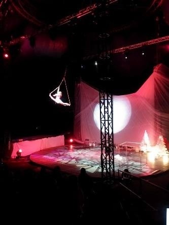 Ostatni w tym roku pokaz „Ocelot Christmas Show”