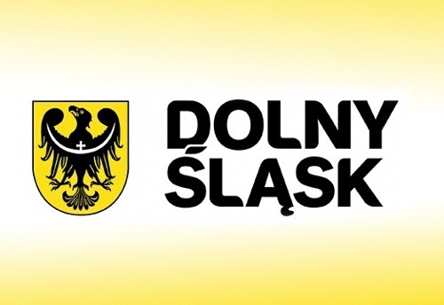 Organizacje pozarządowe - głosowanie