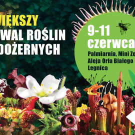 Piękne i drapieżne